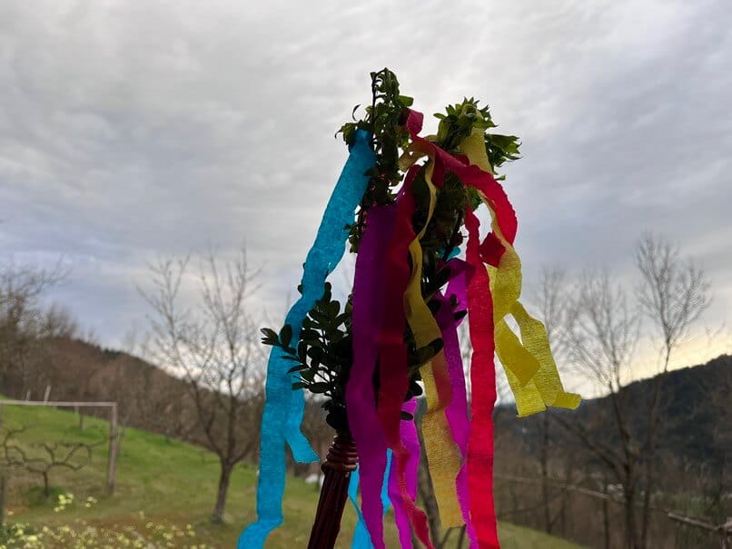 Eden od letošnjih snopov